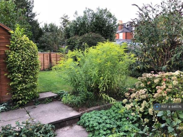 Back Garden