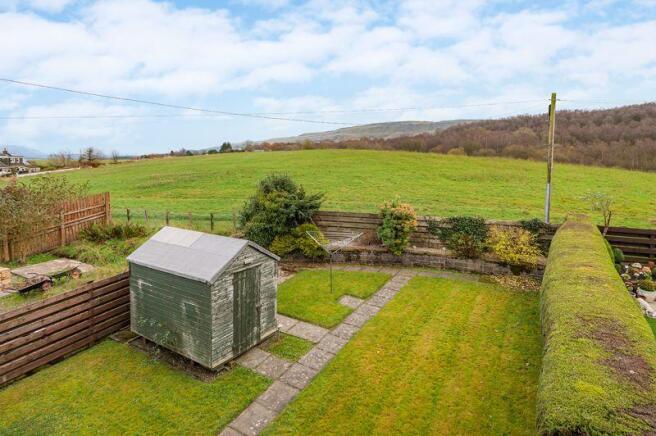 Back Garden