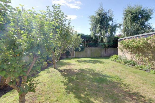 Garden at Back