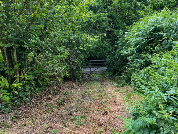 Photo 10