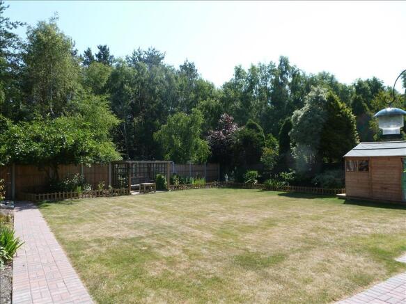Photo 12
