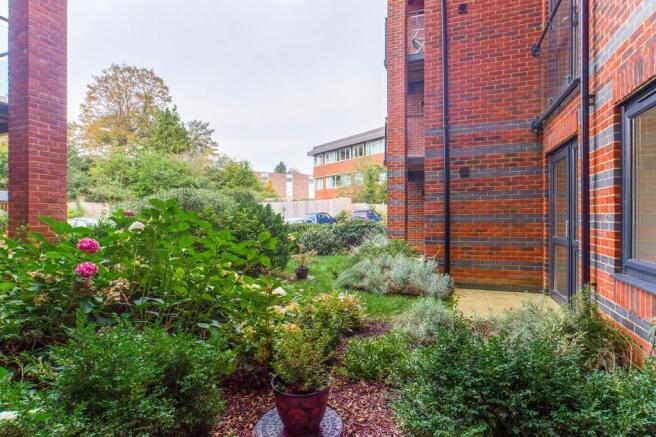 Patio Garden 