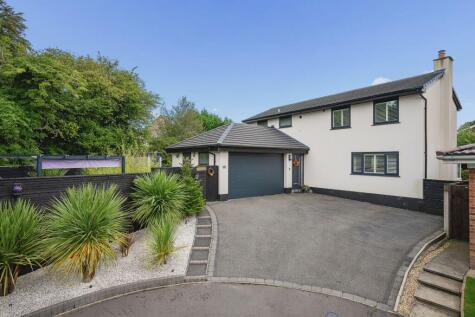 Bradshaw Meadows, Bradshaw