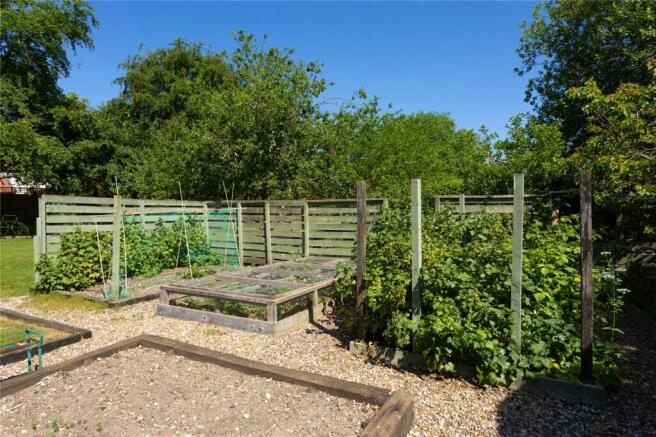 Vegtable Garden