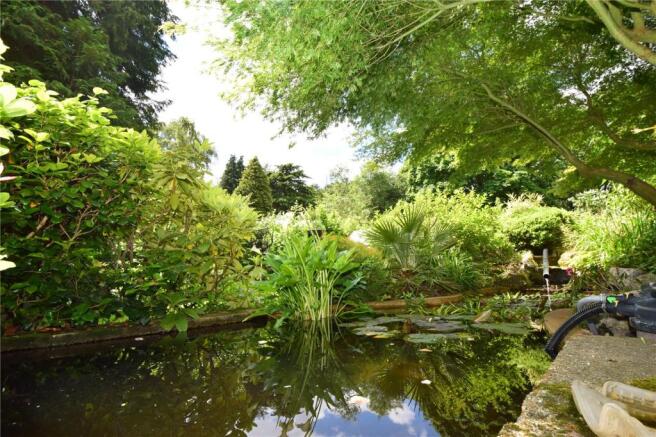 Pond