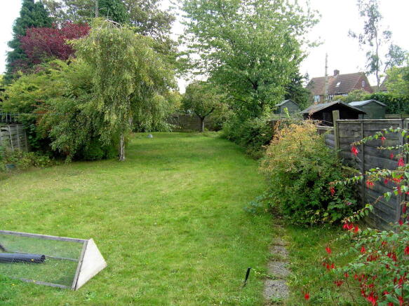 Photo 11