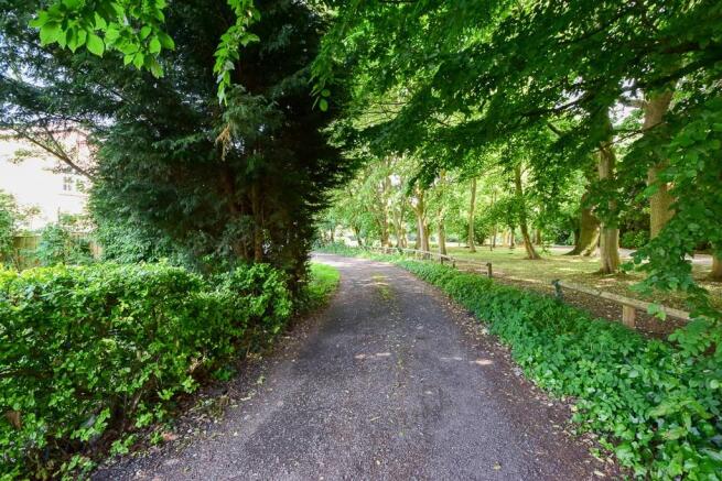 Tree Lined Driveway
