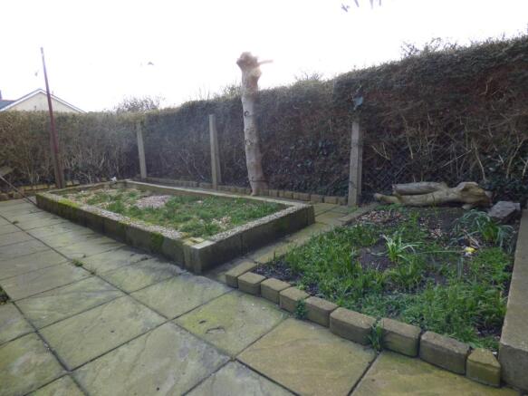 Rear Patio