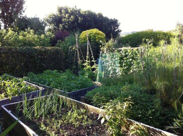 Raised Beds/ F...