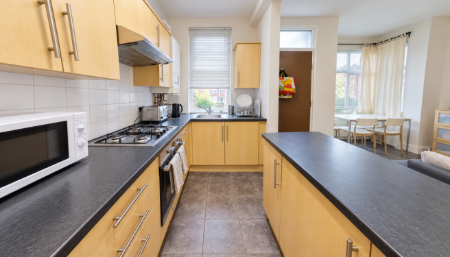 Bright Modern Galley Kitchen