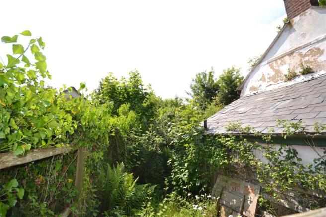 The Garden