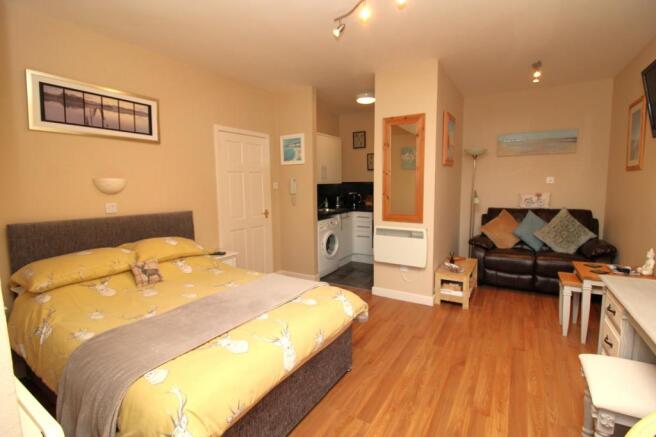Lounge/Bedroom Area