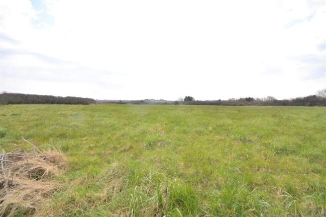 Field.JPG