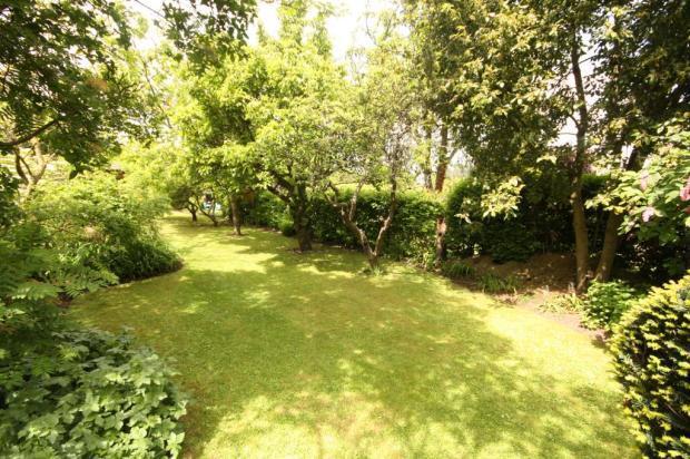 Garden Image 2