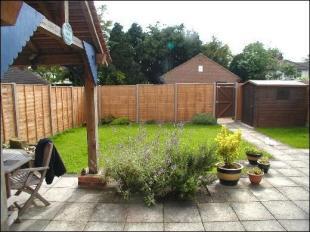Rear gardens 