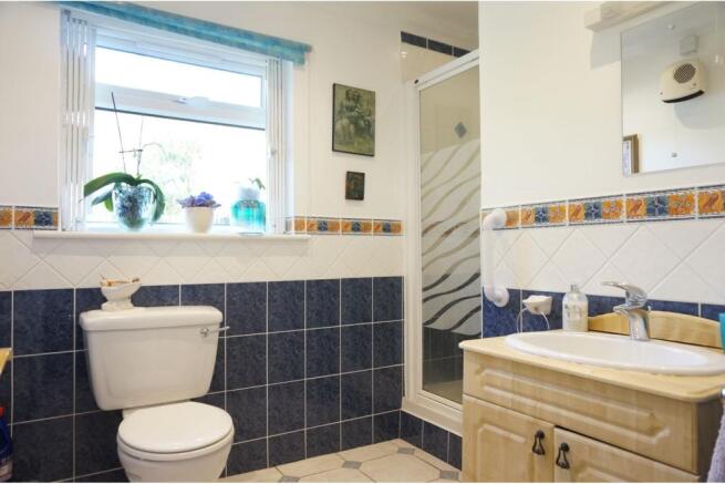 Downstairs Shower