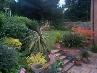 garden 1