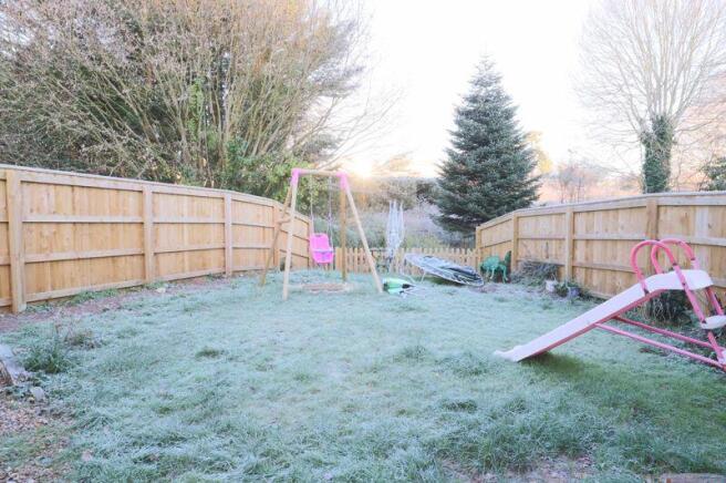 Back garden