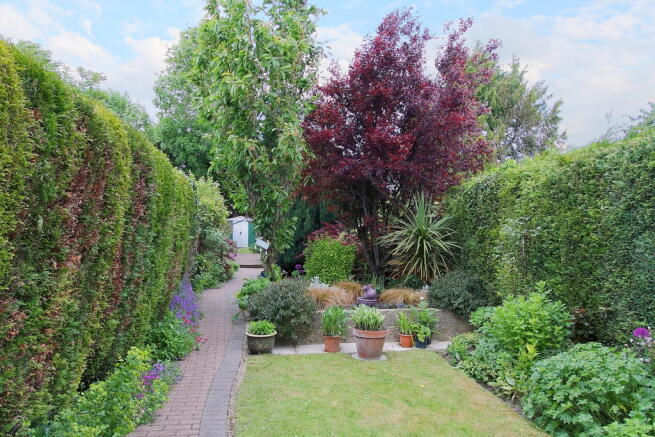 Photo 10