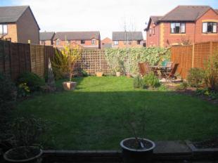 Garden 2