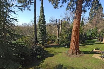 Communal Gardens