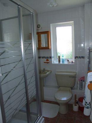 Annexe Shower Room