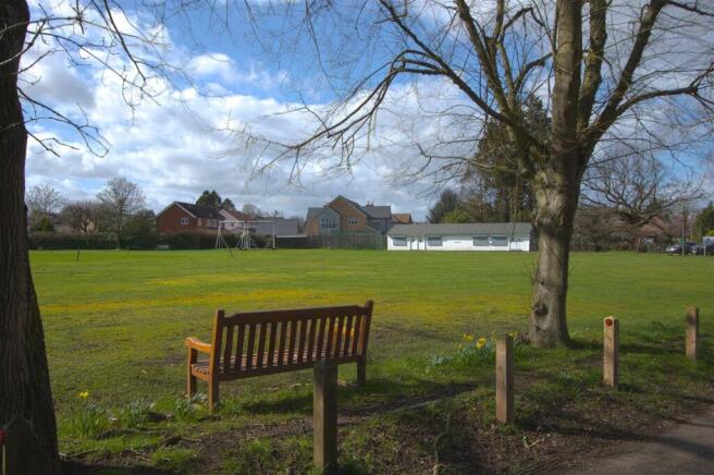 CRICKET GREEN.jpg