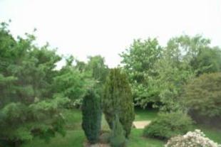 View from Bedroom 1