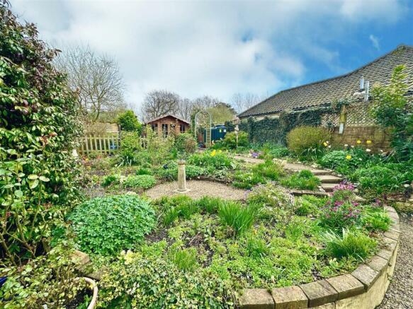 garden .jpg