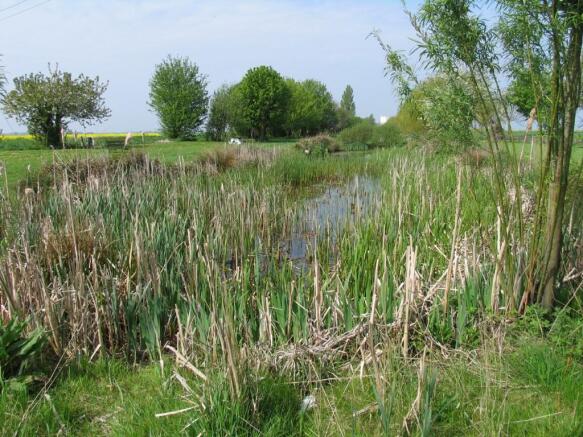 Wildlife Area