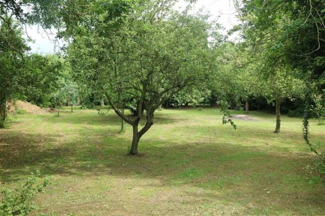 SITE