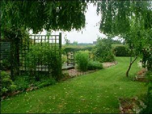 IMAGE4