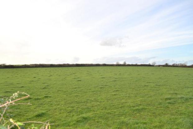 Neighbouring Field