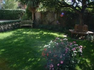 Front Garden Shot 2