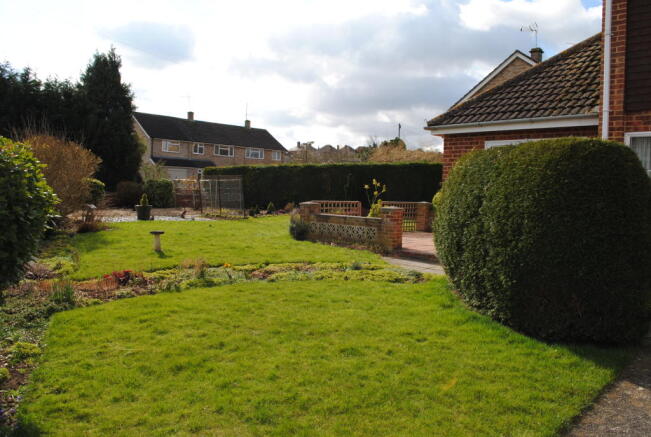 Photo 5