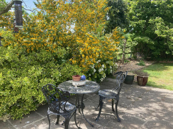 garden 3