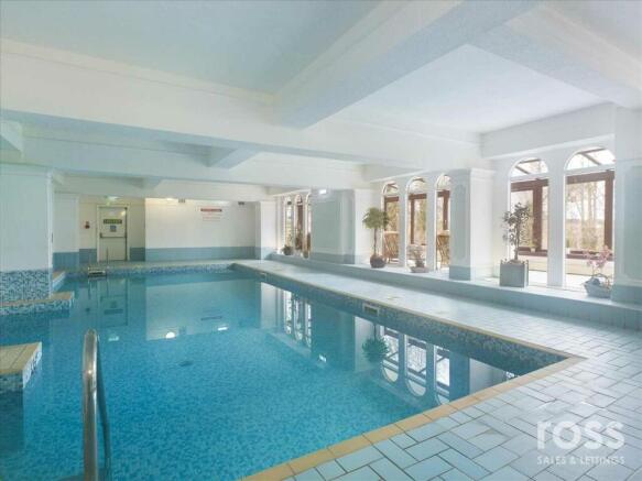 Communal Pool
