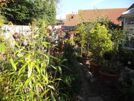 Garden (3)