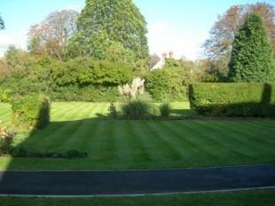Communal gardens