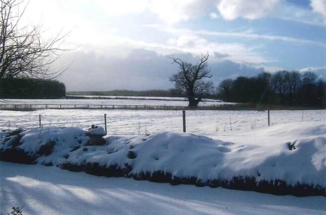 Winter View
