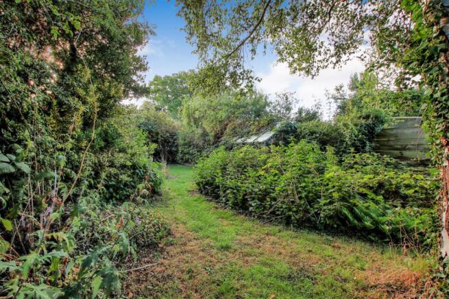 garden 2.jpg