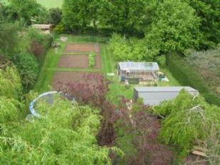 Aerial Veiw Garden