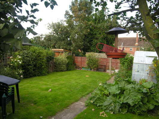 Photo 8
