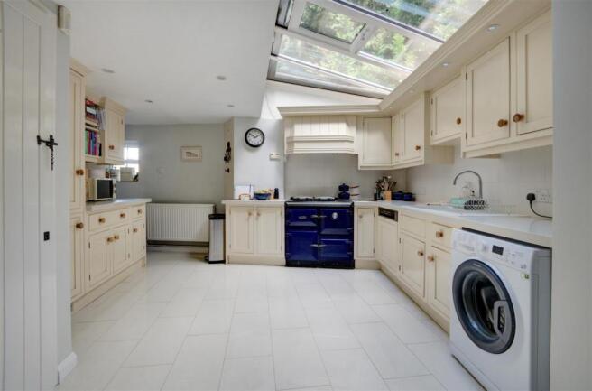201001SwanClose-1010.jpg