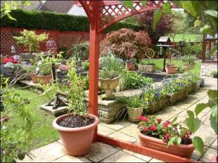 garden