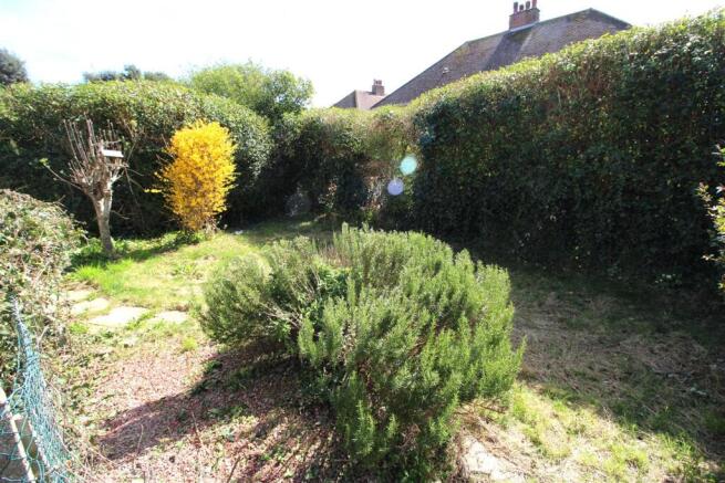 Garden pic.jpg