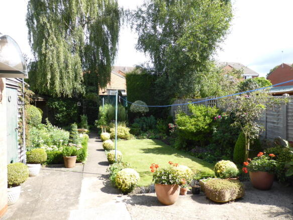 Photo 6