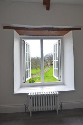 View From Window