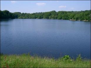 Knypersley Pool