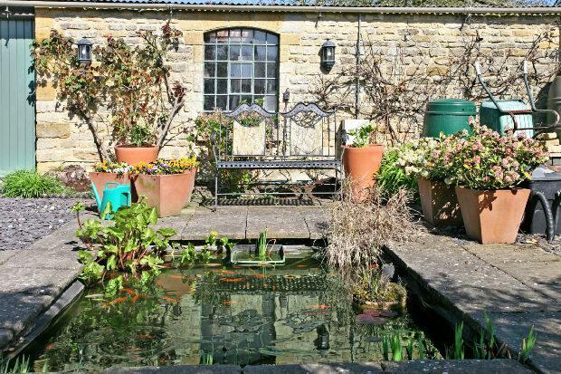 Water Garden